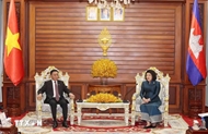 Vietnam, Cambodia step up parliamentary ties, reaffirm enduring solidarity